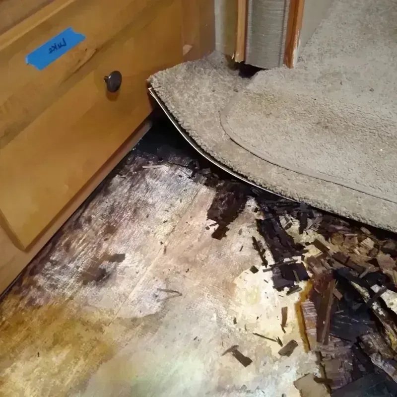 Best Wood Floor Water Damage Service in Suncoast Estates, FL